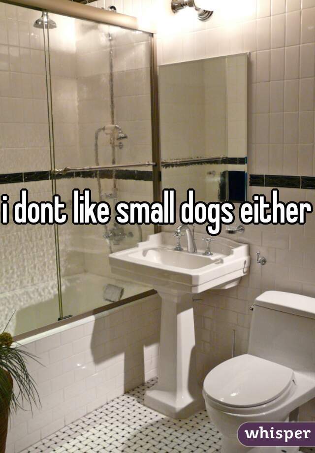i dont like small dogs either.