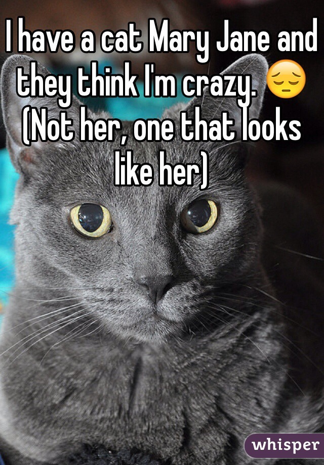 I have a cat Mary Jane and they think I'm crazy. 😔
(Not her, one that looks like her)