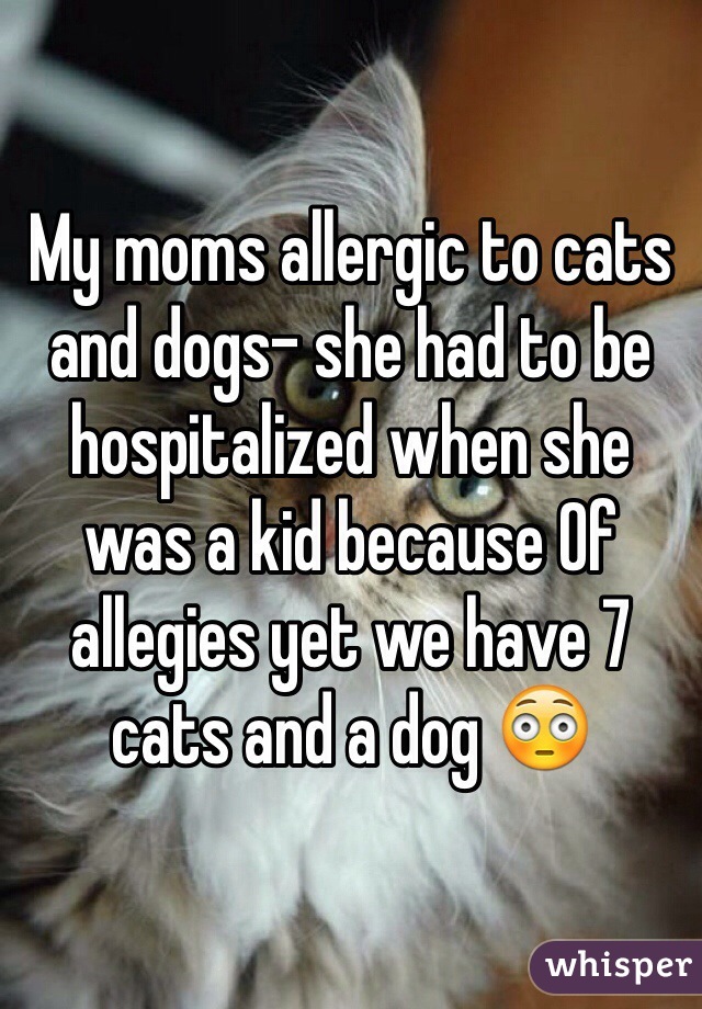 My moms allergic to cats and dogs- she had to be hospitalized when she was a kid because Of allegies yet we have 7 cats and a dog 😳
