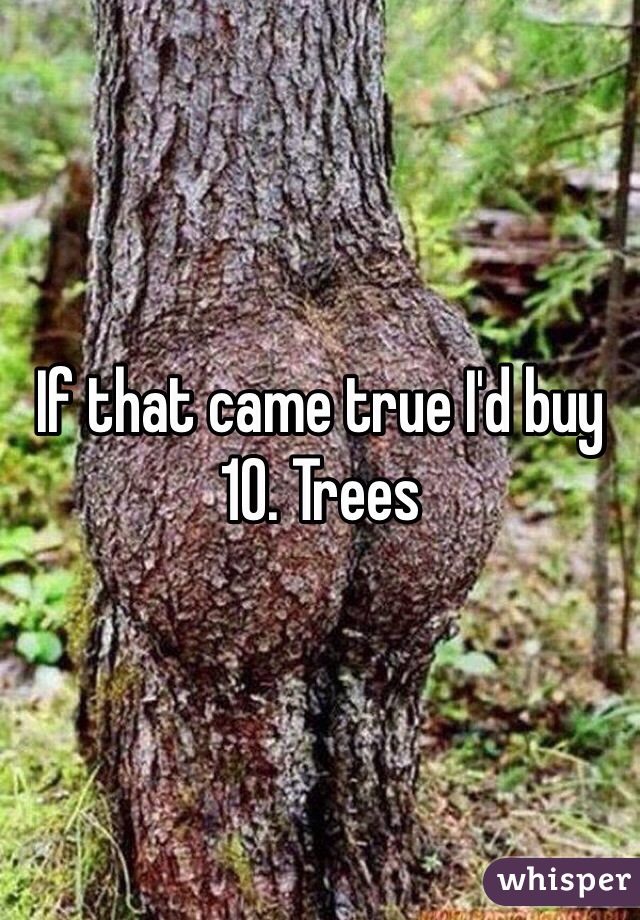 If that came true I'd buy 10. Trees 