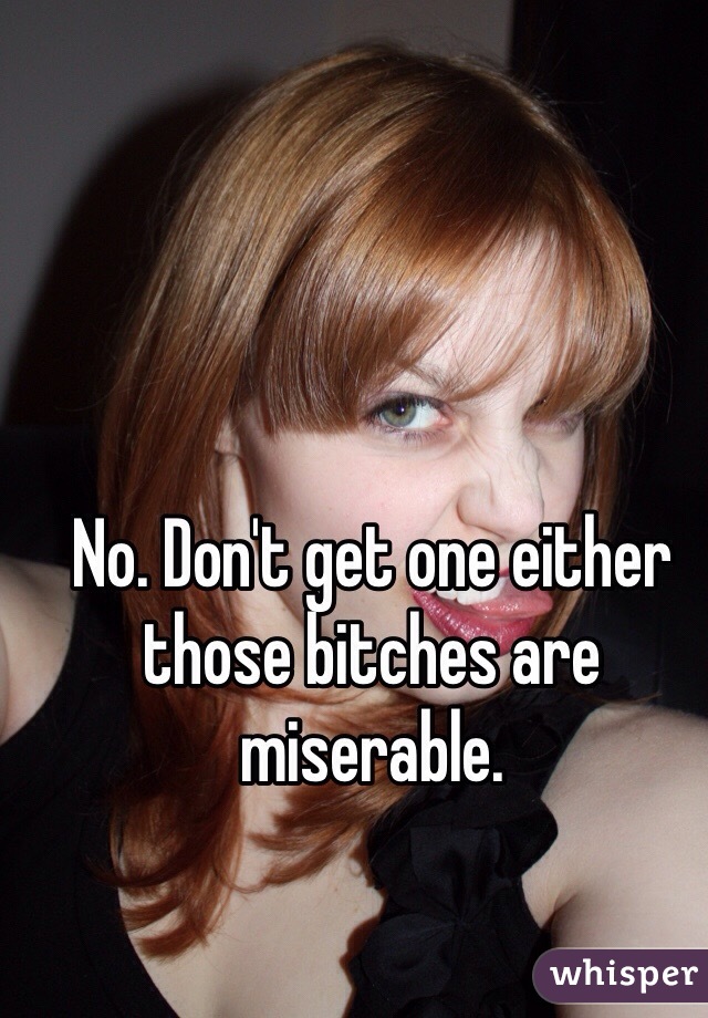 No. Don't get one either those bitches are miserable.