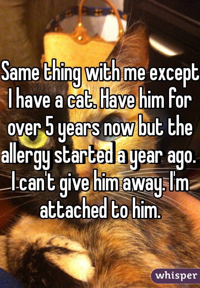 Same thing with me except I have a cat. Have him for over 5 years now but the allergy started a year ago. I can't give him away. I'm attached to him. 