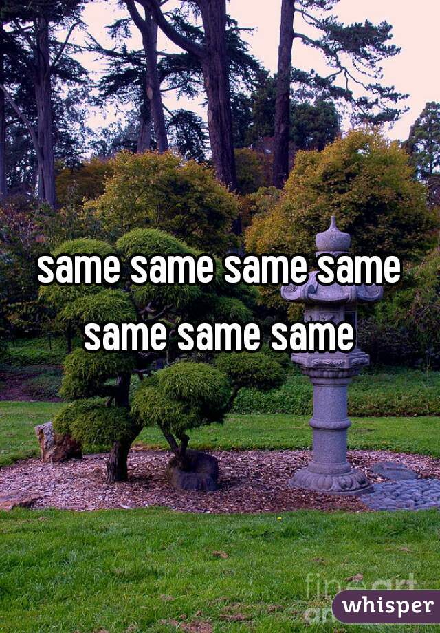 same same same same same same same 
