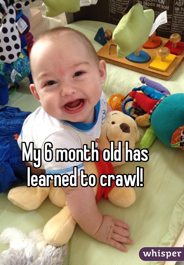 My 6 month old has learned to crawl! 
