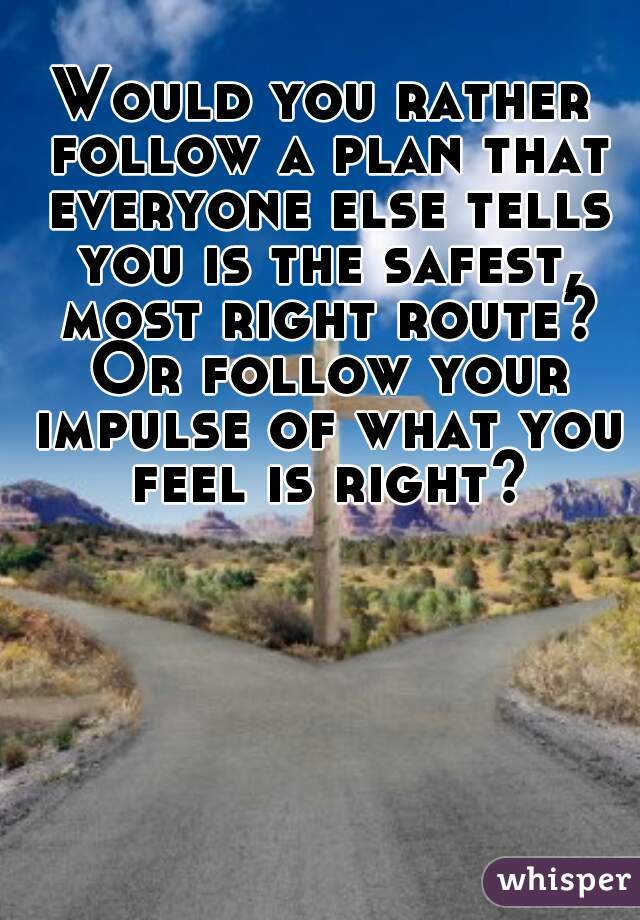 Would you rather follow a plan that everyone else tells you is the safest, most right route? Or follow your impulse of what you feel is right?