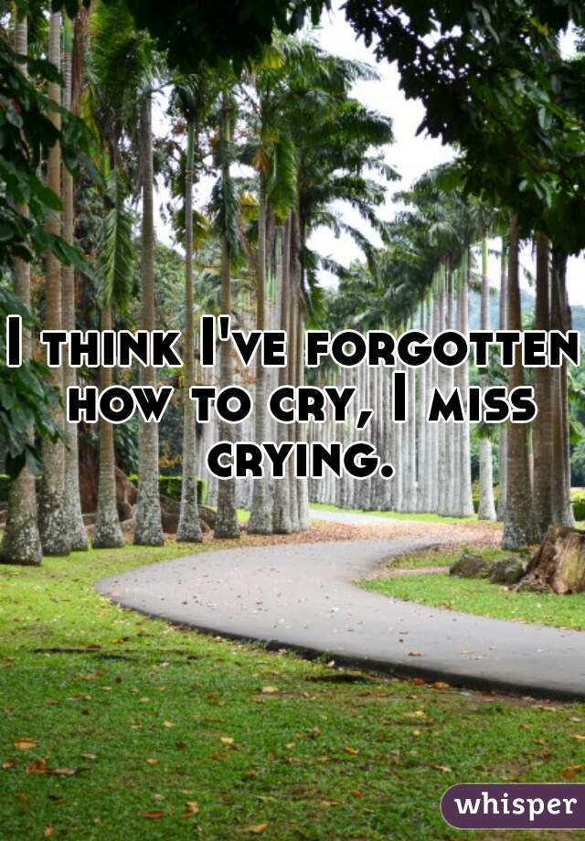 I think I've forgotten how to cry, I miss crying.