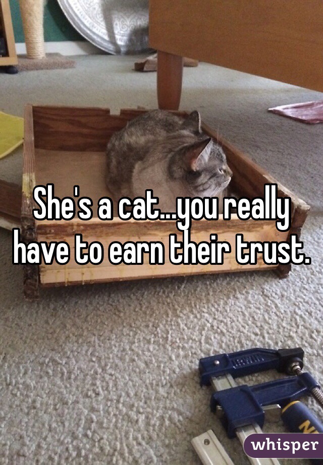 She's a cat...you really have to earn their trust.