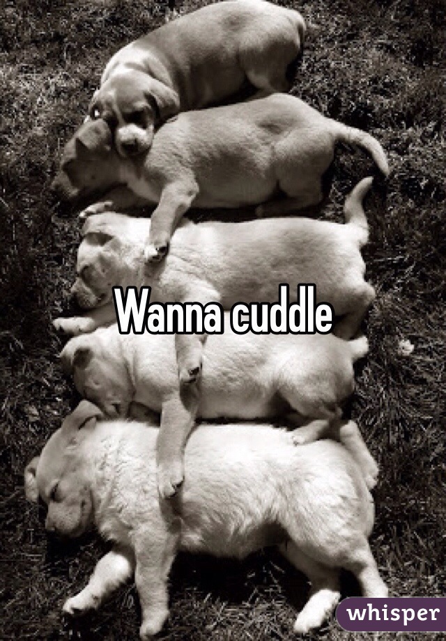 Wanna cuddle 