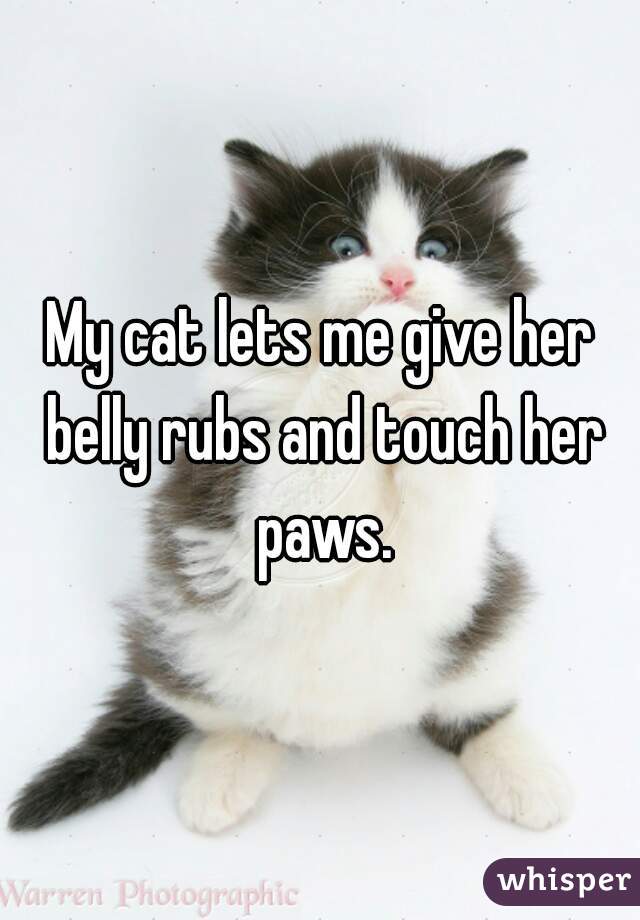 My cat lets me give her belly rubs and touch her paws.