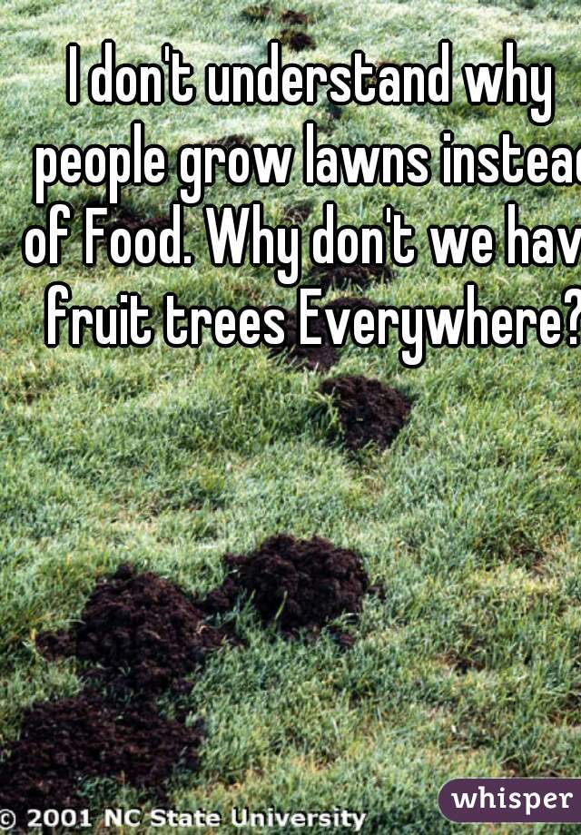 I don't understand why people grow lawns instead of Food. Why don't we have fruit trees Everywhere?