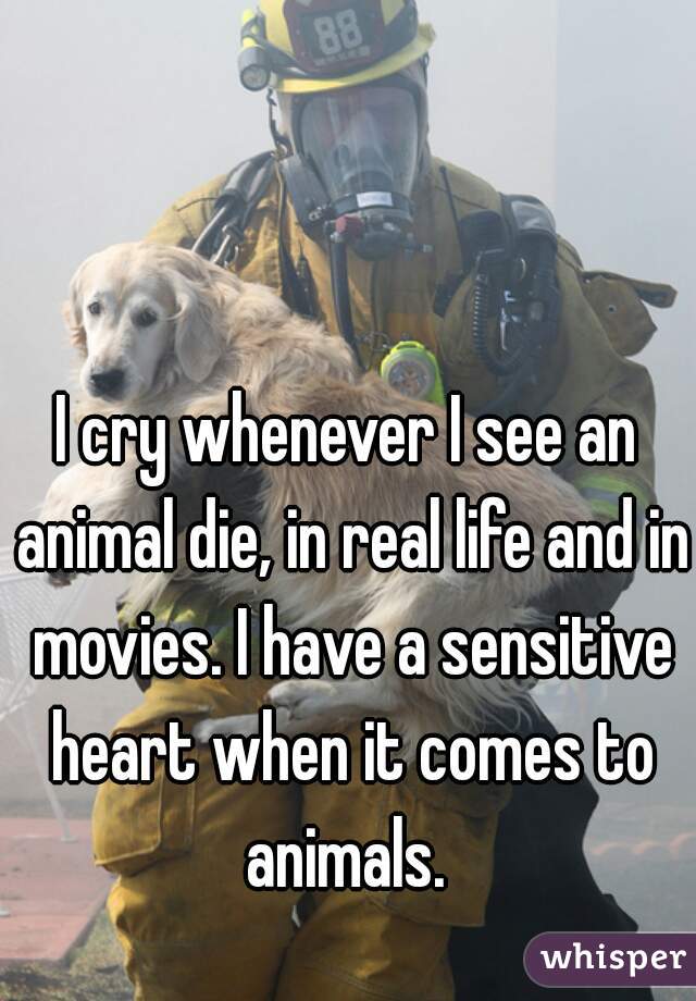 I cry whenever I see an animal die, in real life and in movies. I have a sensitive heart when it comes to animals. 