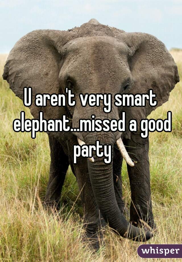 U aren't very smart elephant...missed a good party