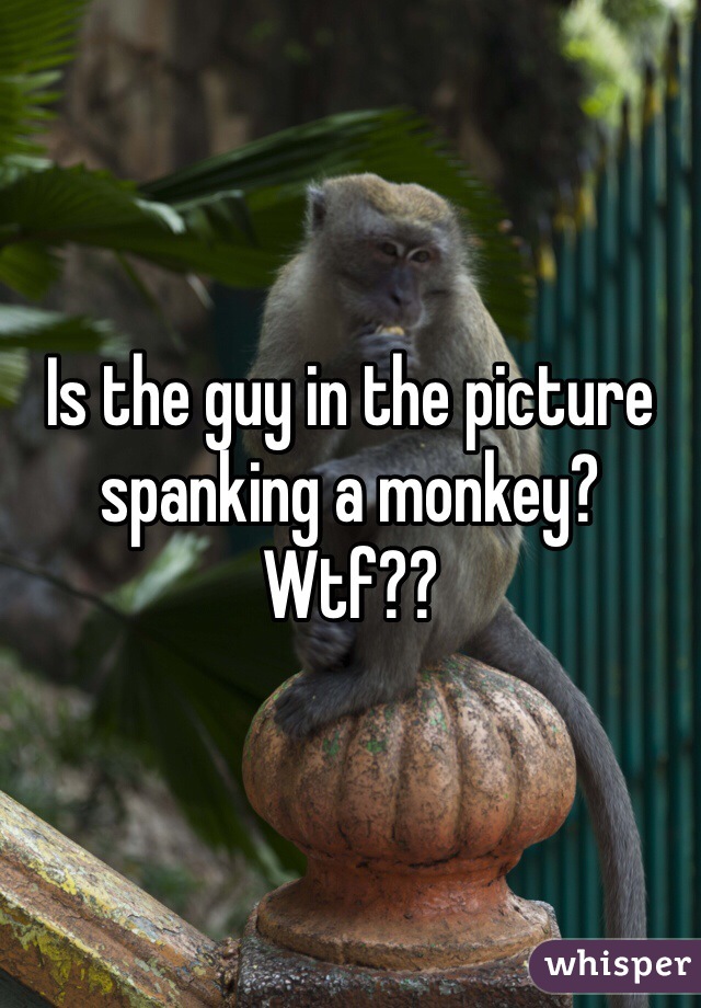 Is the guy in the picture spanking a monkey? Wtf??