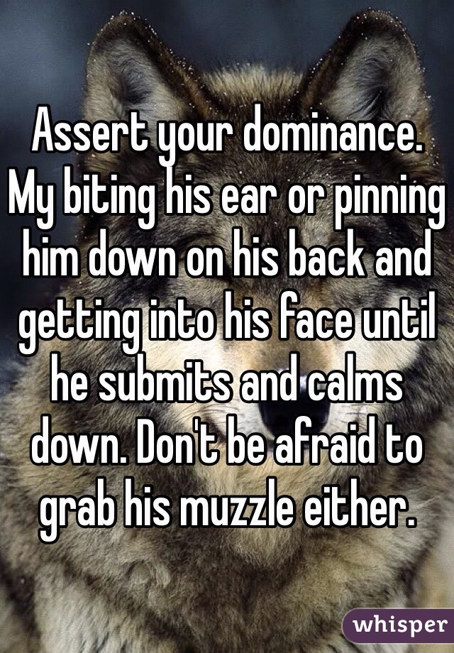 Assert your dominance.
My biting his ear or pinning him down on his back and getting into his face until he submits and calms down. Don't be afraid to grab his muzzle either.