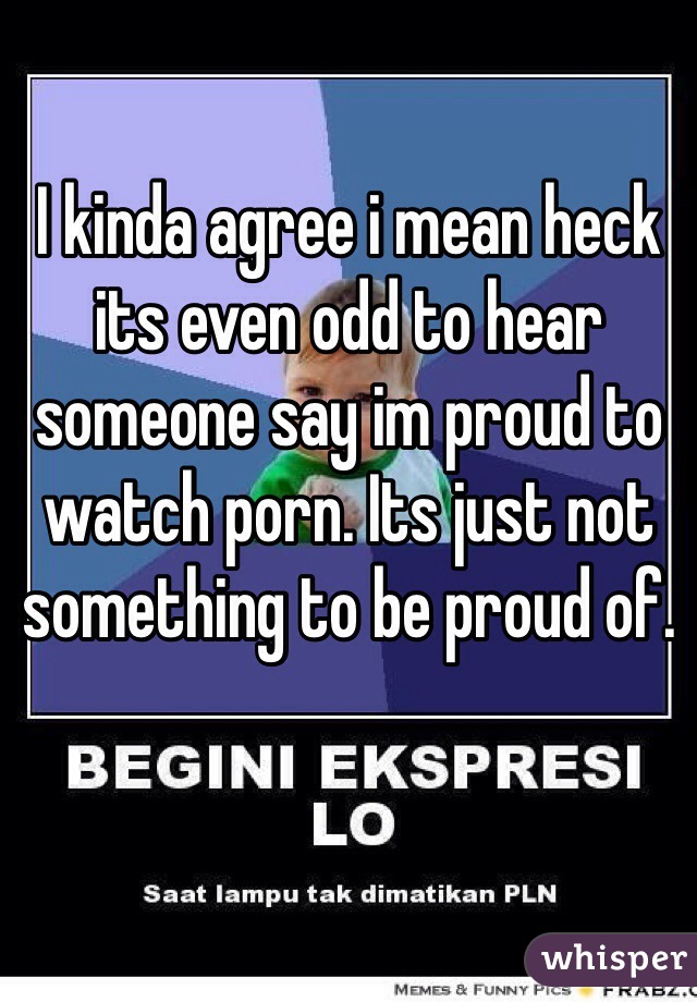 I kinda agree i mean heck its even odd to hear someone say im proud to watch porn. Its just not something to be proud of.