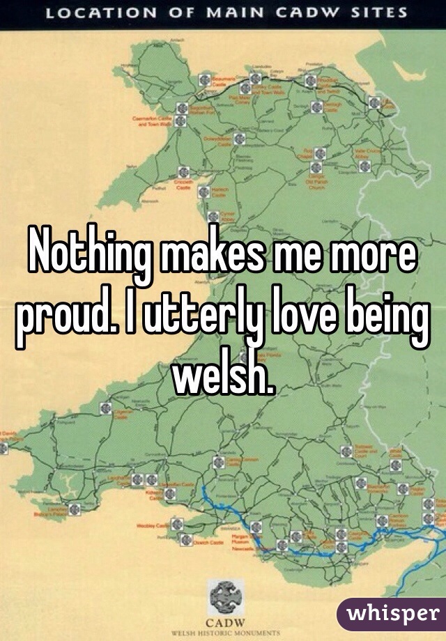 Nothing makes me more proud. I utterly love being welsh. 