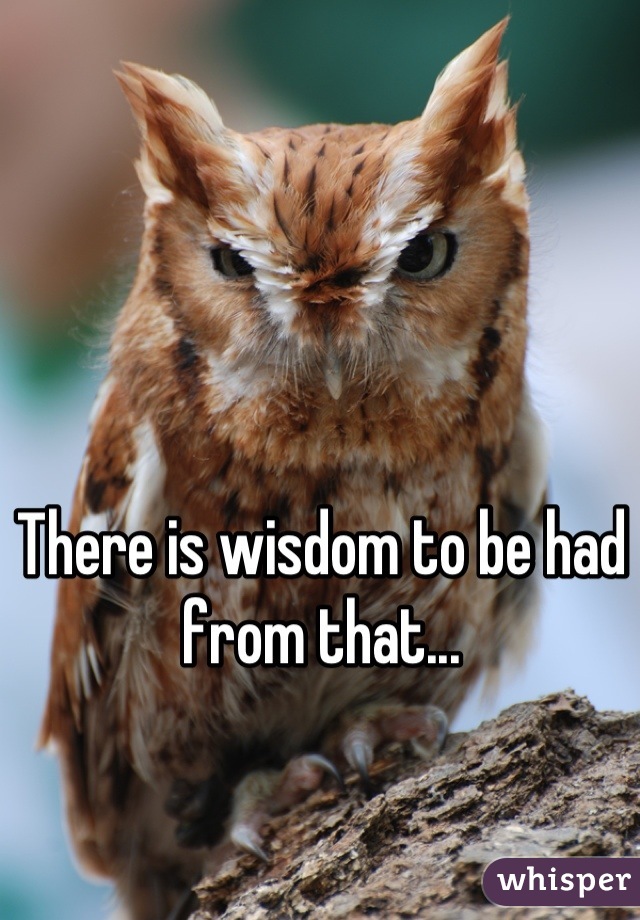 There is wisdom to be had from that...