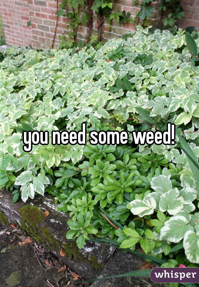 you need some weed!