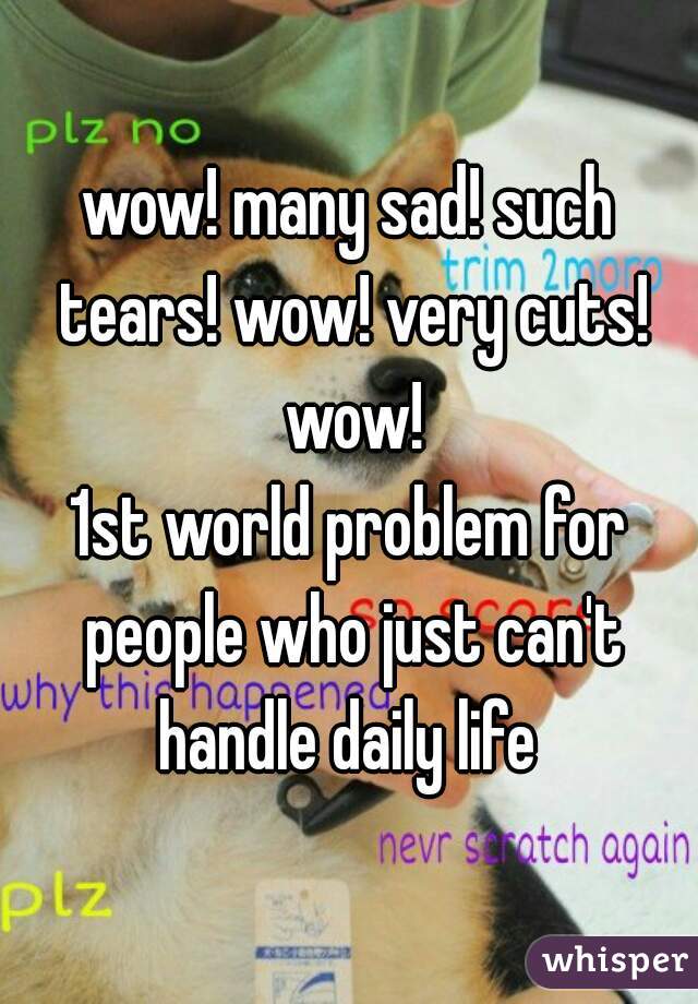 wow! many sad! such tears! wow! very cuts! wow!

1st world problem for people who just can't handle daily life 