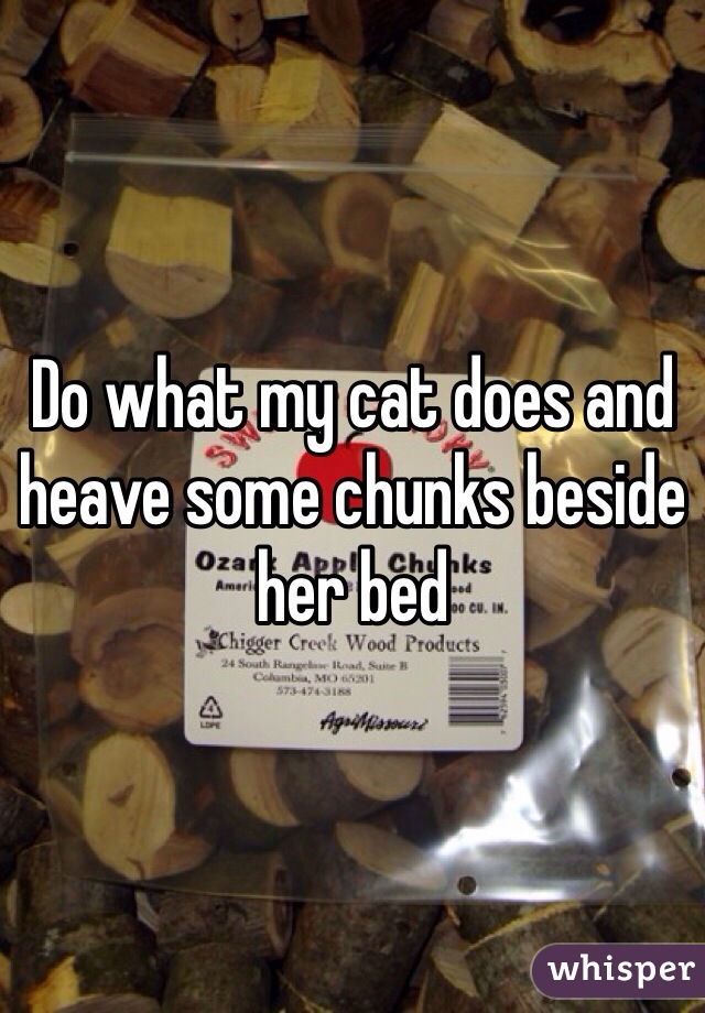Do what my cat does and heave some chunks beside her bed