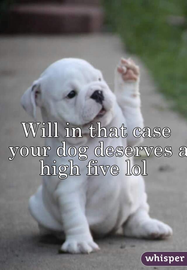 Will in that case your dog deserves a high five lol  