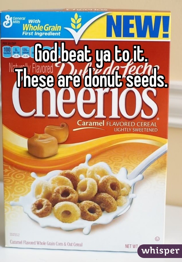 God beat ya to it. 
These are donut seeds.