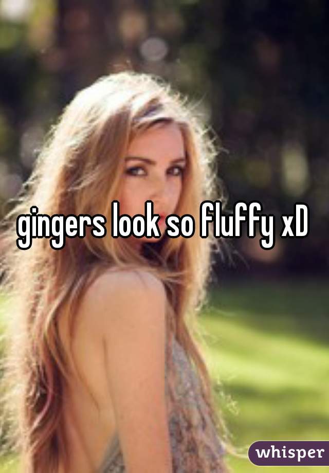 gingers look so fluffy xD