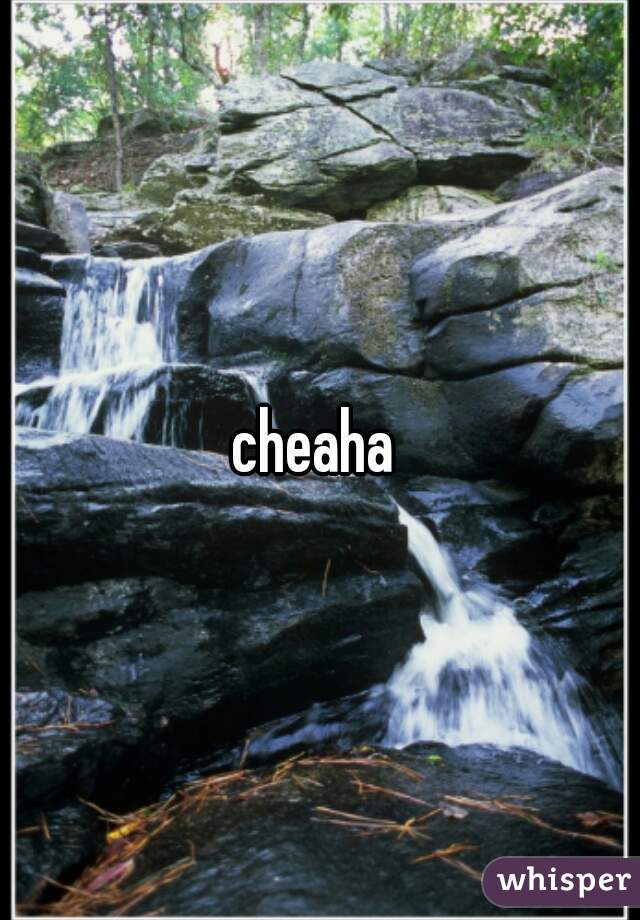 cheaha 