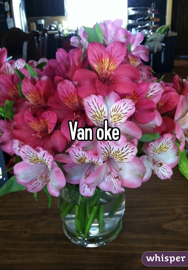 Van oke