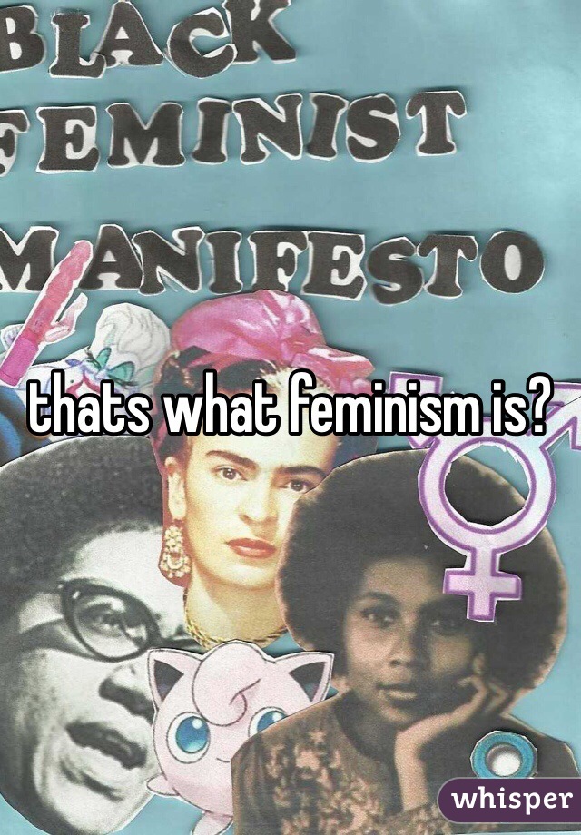 thats what feminism is?