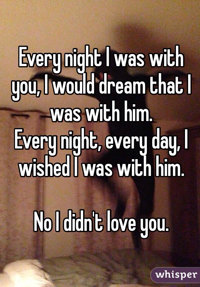 Every night I was with you, I would dream that I was with him. 
Every night, every day, I wished I was with him.

No I didn't love you.
