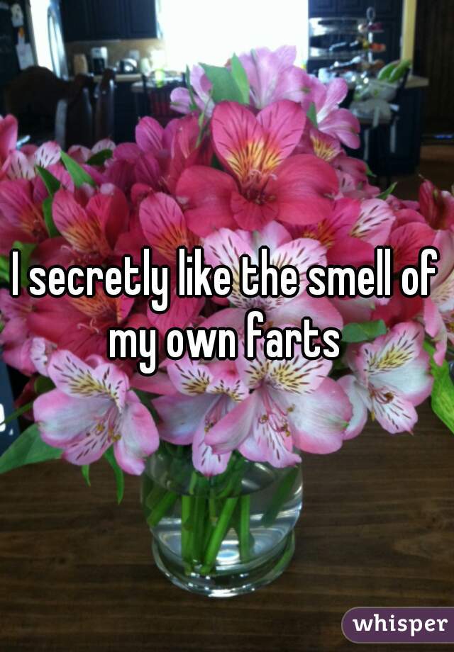 I secretly like the smell of my own farts 