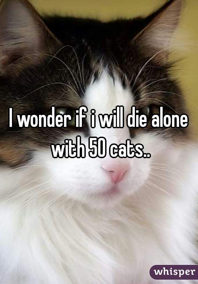 I wonder if i will die alone with 50 cats..