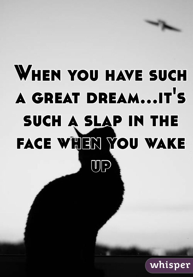 When you have such a great dream...it's such a slap in the face when you wake up