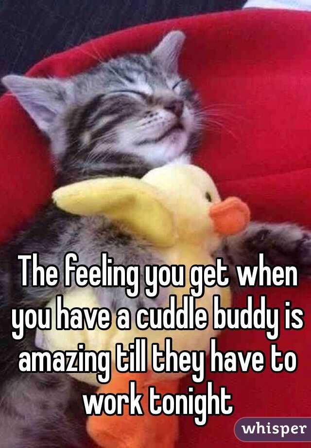 The feeling you get when you have a cuddle buddy is amazing till they have to work tonight