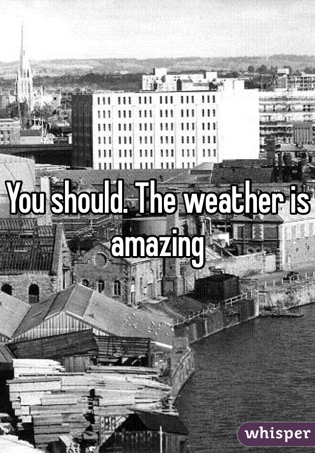 You should. The weather is amazing 