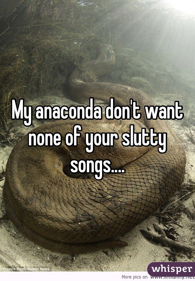 My anaconda don't want none of your slutty songs....