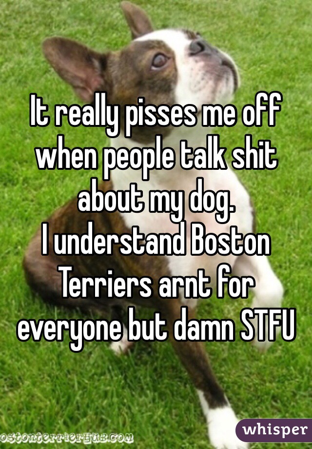 It really pisses me off when people talk shit about my dog. 
I understand Boston Terriers arnt for everyone but damn STFU
