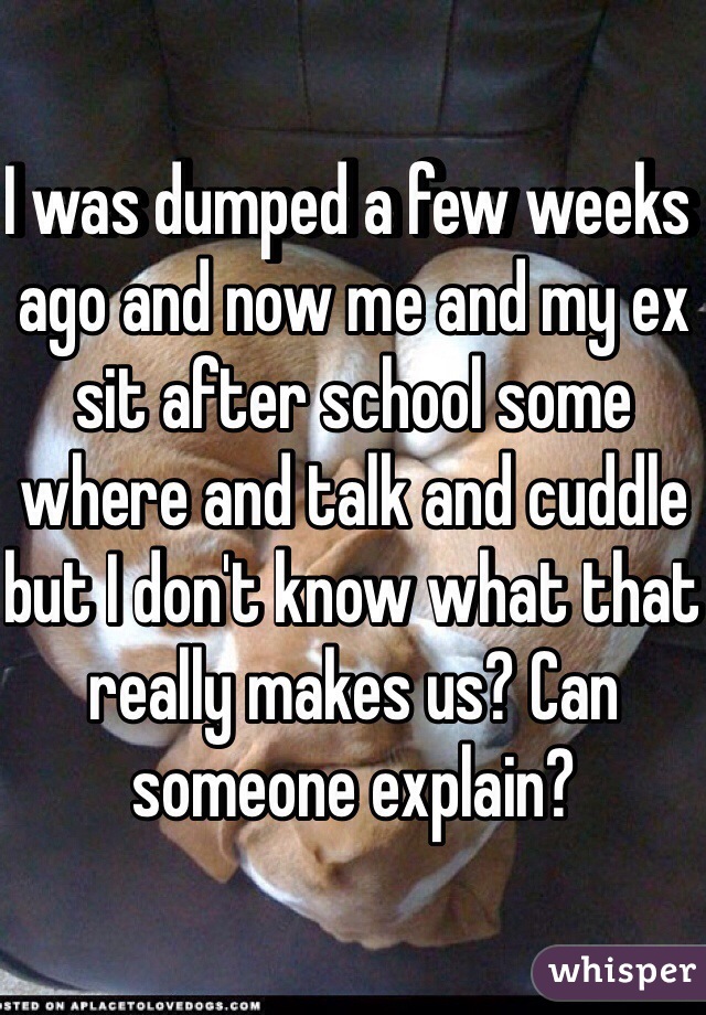 I was dumped a few weeks ago and now me and my ex sit after school some where and talk and cuddle but I don't know what that really makes us? Can someone explain?