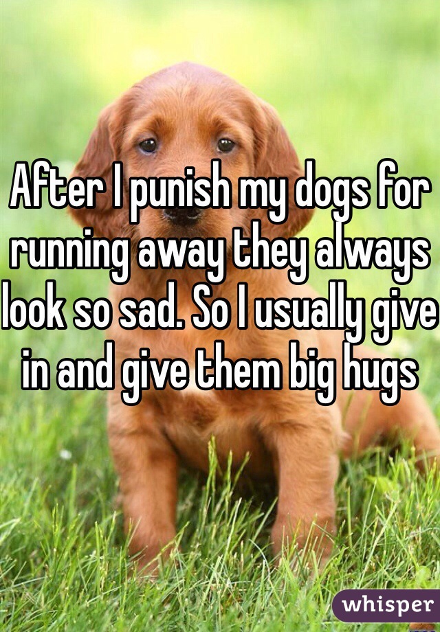 After I punish my dogs for running away they always look so sad. So I usually give in and give them big hugs 