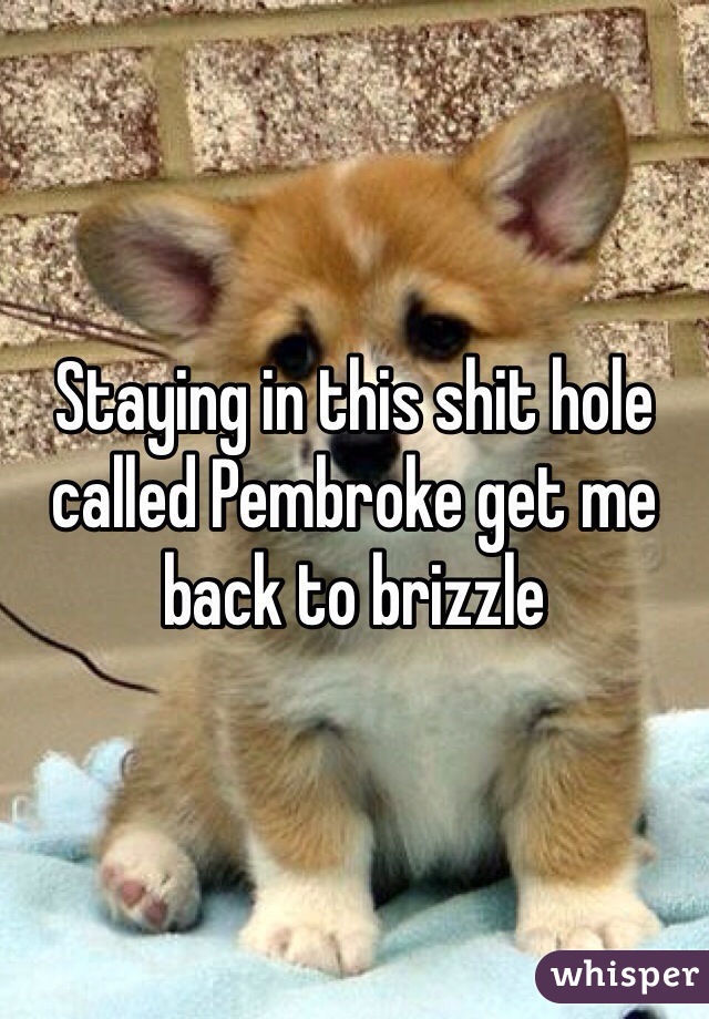 Staying in this shit hole called Pembroke get me back to brizzle 
