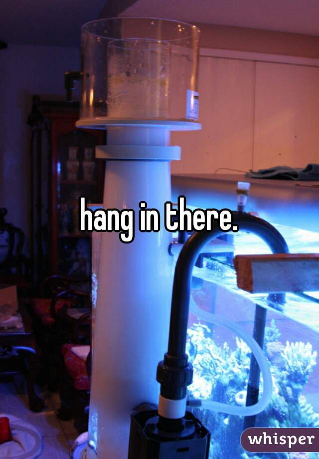 hang in there.