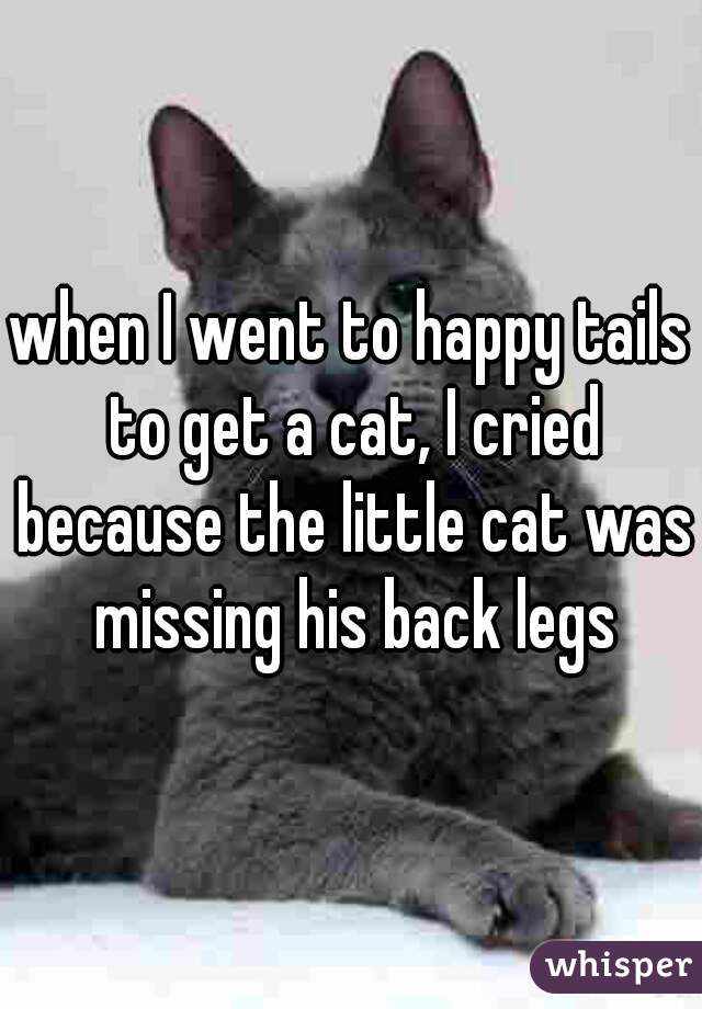 when I went to happy tails to get a cat, I cried because the little cat was missing his back legs