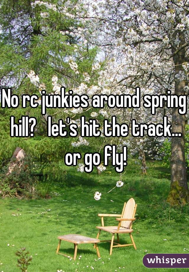 No rc junkies around spring hill?   let's hit the track... or go fly!