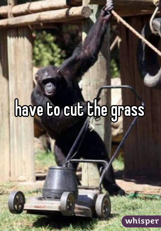 have to cut the grass