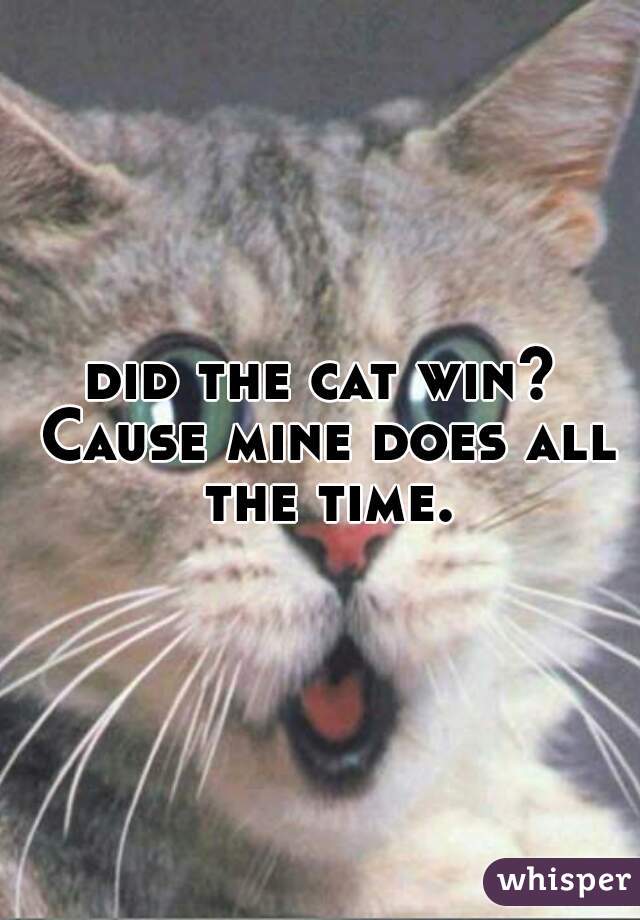 did the cat win? Cause mine does all the time.