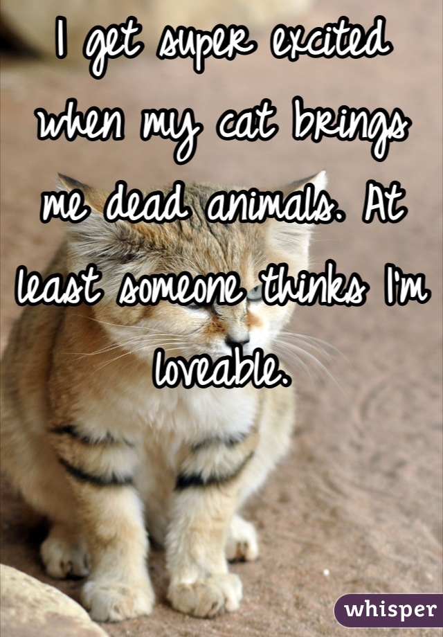 I get super excited when my cat brings me dead animals. At least someone thinks I'm loveable.