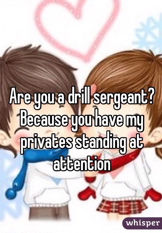 Are you a drill sergeant? Because you have my privates standing at attention 