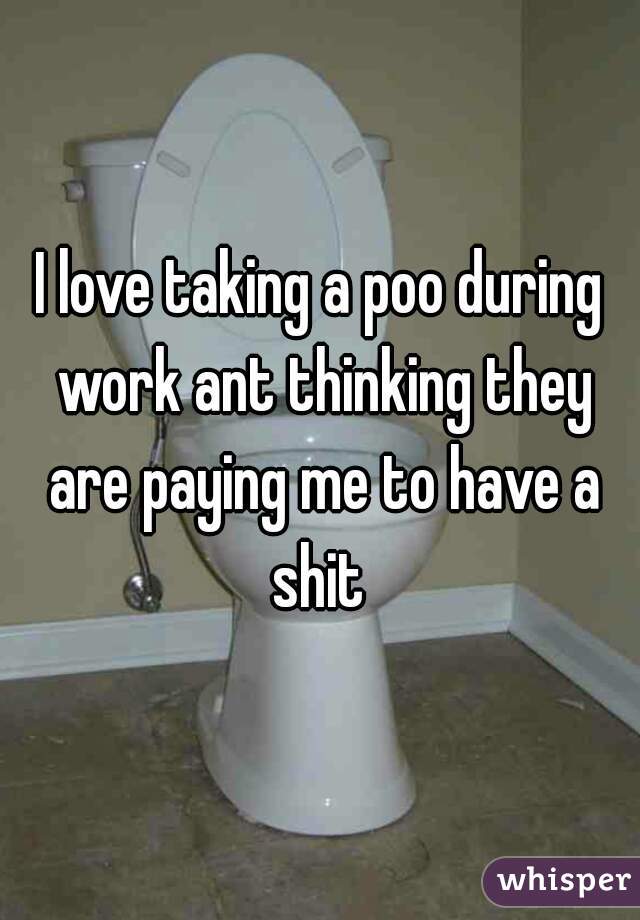 I love taking a poo during work ant thinking they are paying me to have a shit 