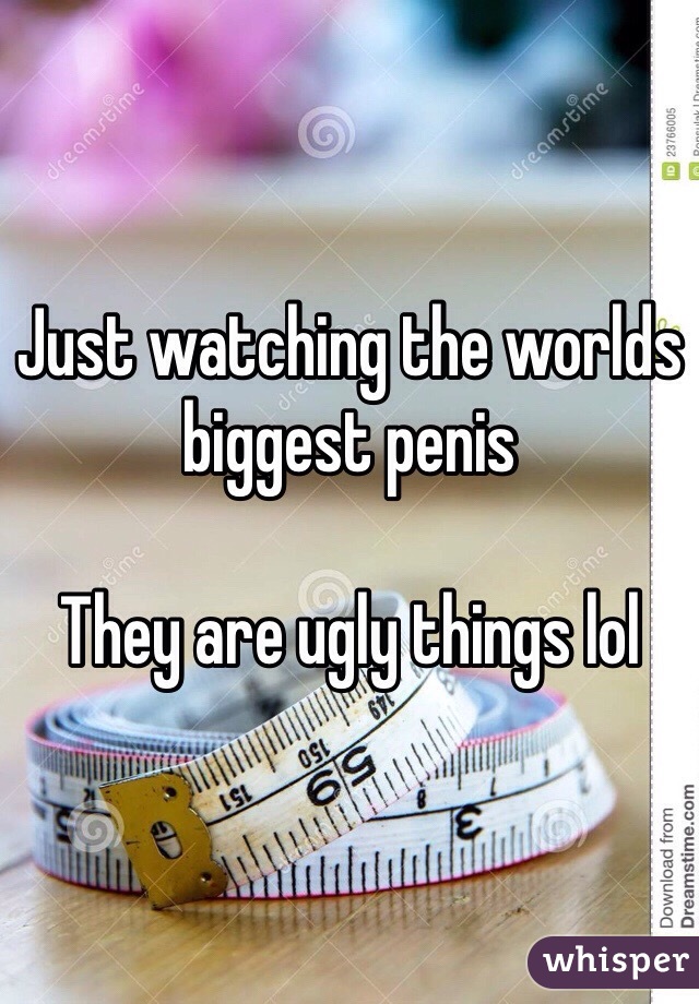 Just watching the worlds biggest penis

They are ugly things lol 